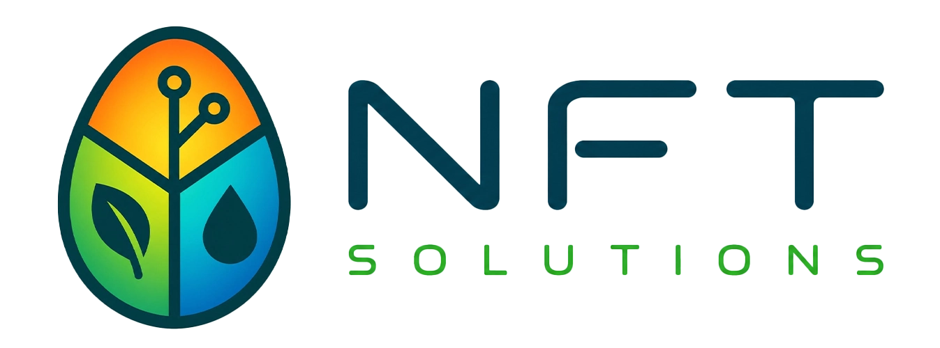 nftsolutions.tn