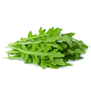 Roquette