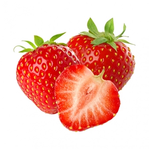 fraise hydroponie tunisie