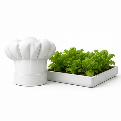hydroponie restaurants