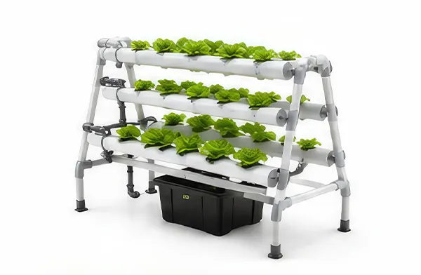 systeme nft domestic