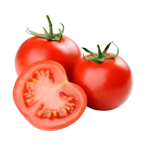 tomate hydroponie tunisie